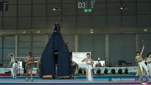 gymnaestrada rimini 2023 foto agati ferraro luc00324